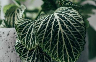 The Main Street Burrow - Your Perfect Hideaway - Foto 15