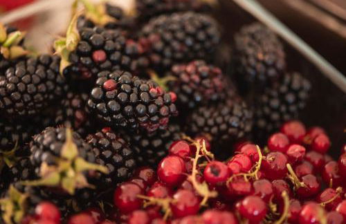 Casa Amorim Girão - Foto 43