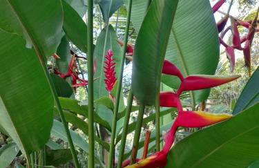 Casas Oceano - Foto 11