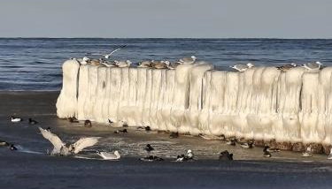 Apartamenty Morze Wygody - Foto 5