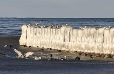 Apartamenty Morze Wygody - Foto 5