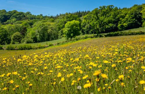 Hogchester Cottage - Photo 21