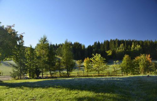 Cisowe Wzgórze - Foto 7