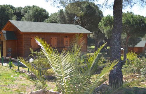 Apartamentos Paraje San Gines - Foto 20