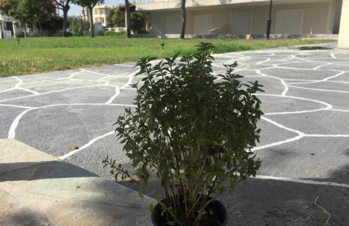 Phoenix Beachside Condos - Foto 61