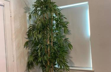 Deluxe Duplex - Foto 21