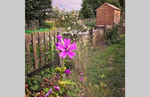 Melford Allotment Shed-Vintage Lodge Suffolk - Foto 18
