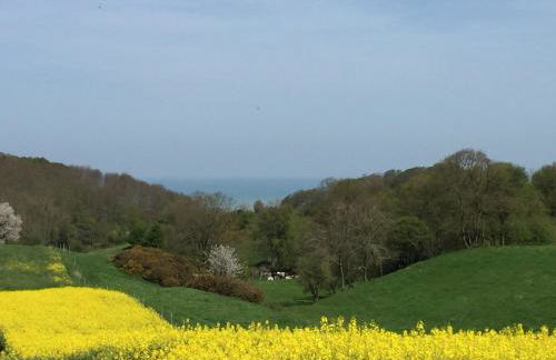 Le Manège - Foto 29