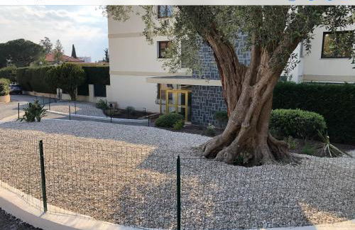 Beautiful T3 terrasse Nice - Photo 19