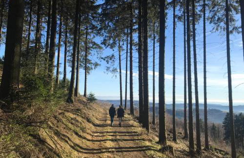 FeWo Gipfelglück - Foto 31