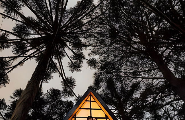 Chalé Verde da Serra - Foto 39