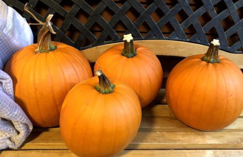 Private, Quiet Vermont Studio With Mountain Views - Foto 9