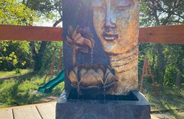 Modern House on 5 acr in Sequoia National Forest - Foto 70