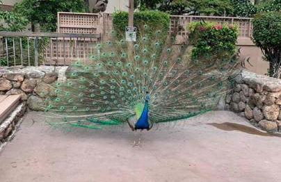 Valley Vibes and Beach Bliss Condo for Family Nomads - Foto 15