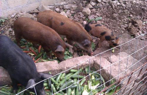 Vento Del Sud - Foto 40