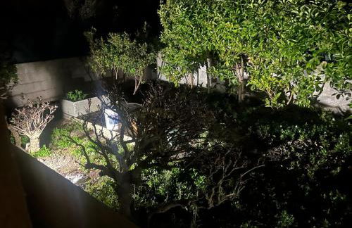 Giardino di Chiara al mare - Foto 22