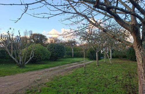 Le Phare Ouest - Foto 2