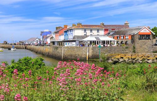 Hen Ffermdy Aberaeron - Photo 23