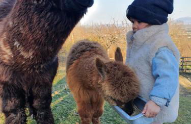 Agriturismo Il Vecchio Mandorlo - Foto 53