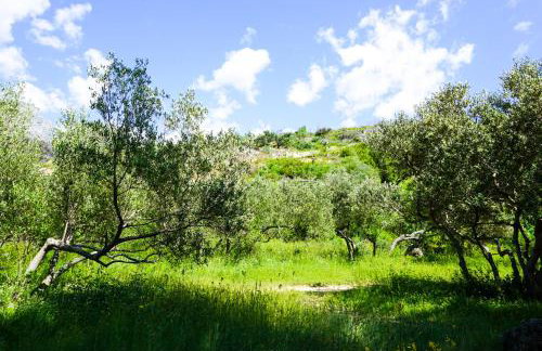 SoL Rooftop Apartments - Foto 71