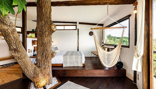 Tree-house Hotel Morinosubako - Foto 3, Camera