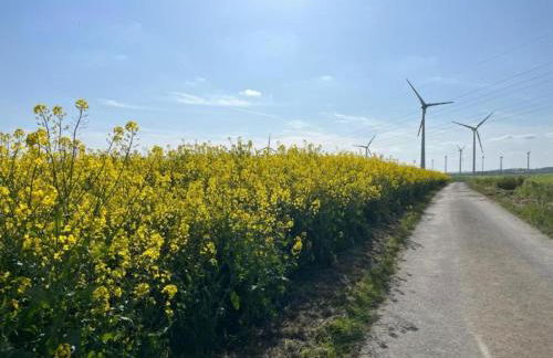gemütliche Ferienwohnung in Kaifenheim - Foto 31