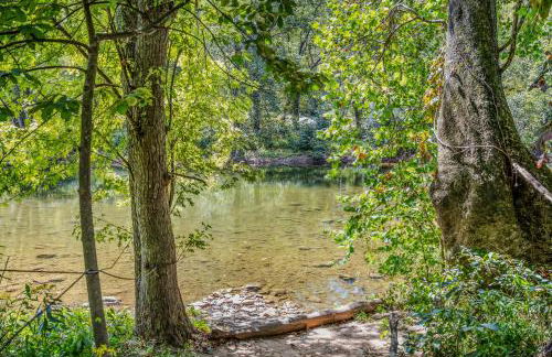 Chesnutt Cabin - Riverfront, Fire Pit, Game Room, Wifi, Screen Porch, View, King Bed - Foto 38