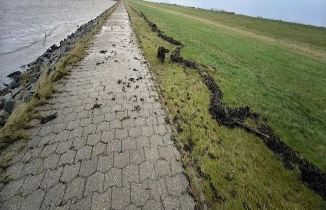 Ferienwohnung Kapitanskajute in Dornumersiel - Foto 33