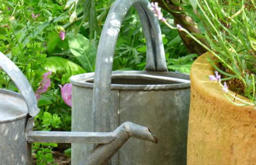 Fewo-Mundi - Foto 32