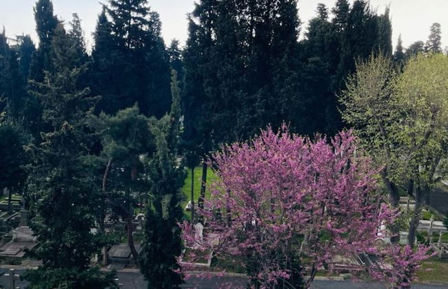 Aymira Suites - Foto 45