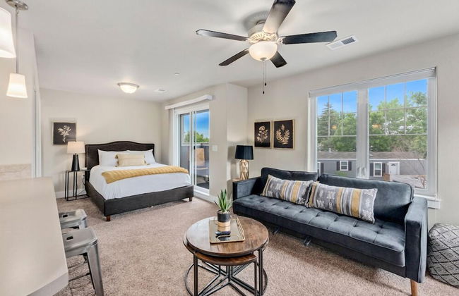 Contemporary Studio – Sunny, Stylish and Spacious - Photo 1