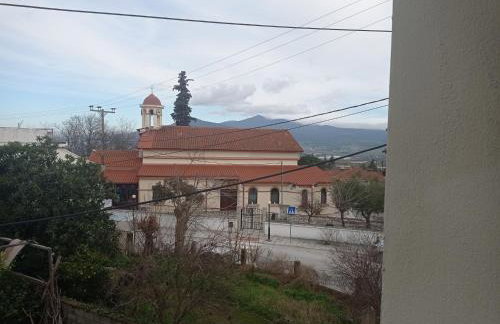 SOUROTI Pinios House - Photo 25