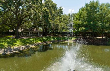 happy place - Foto 17