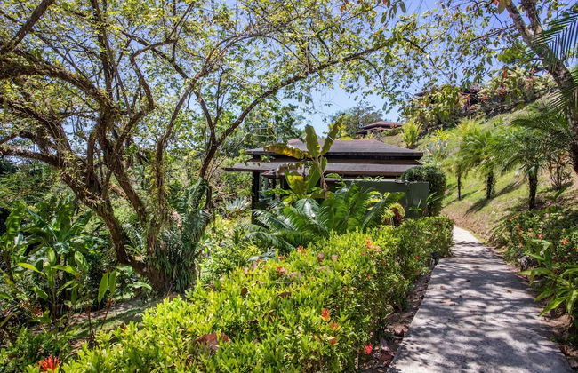 Tiki Villas Rainforest Lodge & Spa - Foto 69