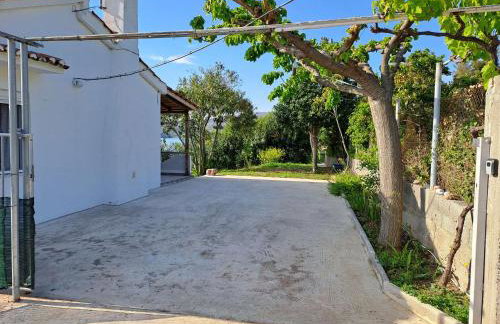 Beach House Kotrona - Photo 14