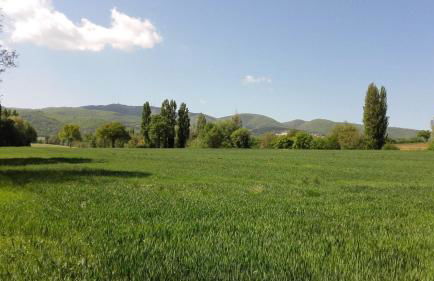 Agriturismo Il Mulino del Vescovo - Foto 19