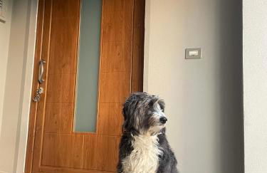 Casetta Le Risaie - Foto 32