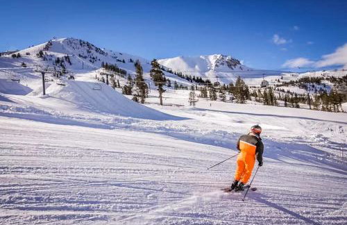 Mammoth Green - 207 - Foto 40