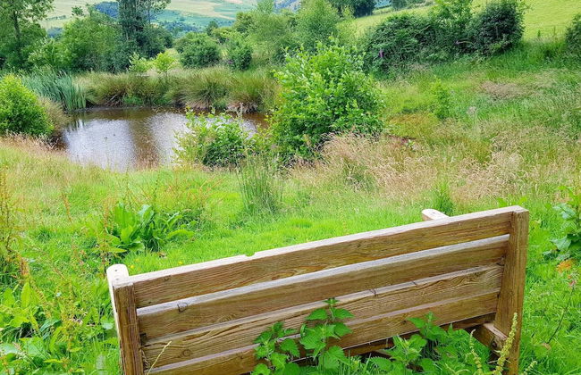 Foxglove Holiday Private Eco Accommodation - Foto 28