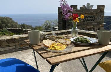 Andros Vineyard house with sea view - Foto 1
