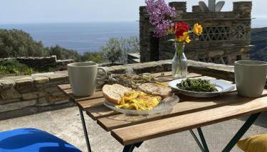 Andros Vineyard house with sea view - Photo 1