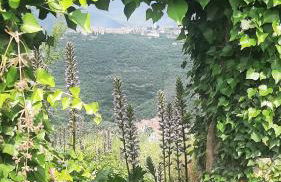 La casetta di Dora - Photo 72