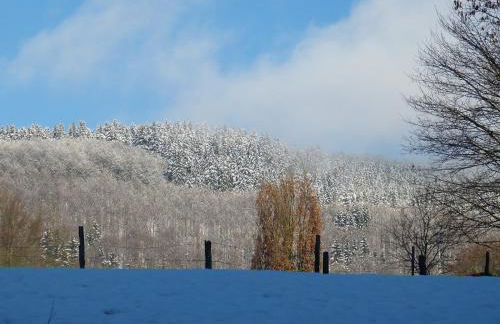 Haus Wald-Eck - Foto 29