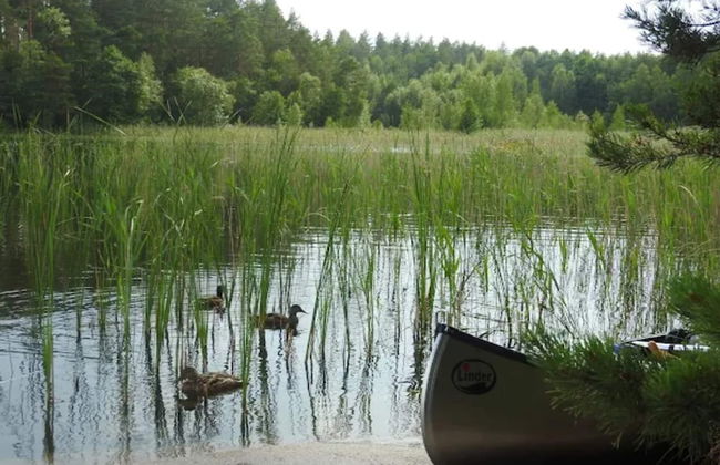 4 Person Holiday Home in Granna-by Traum - Photo 21