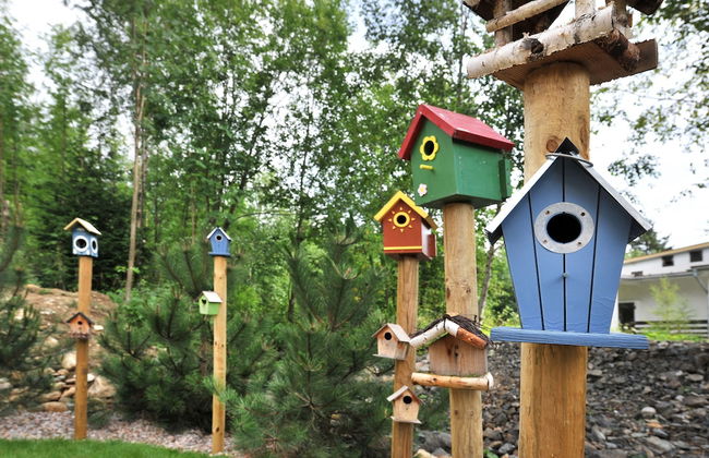 APLEND Vila Olivia - Photo 33