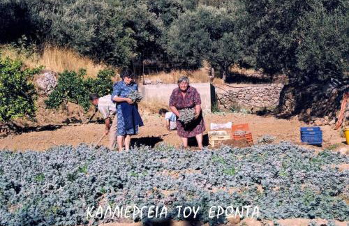 Marios house - Foto 64