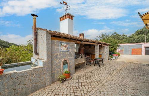 Horta Do Zé Miguel - Foto 7