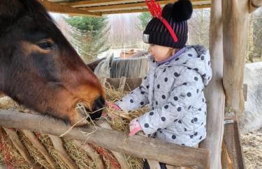 Wiejska Chata - Foto 56