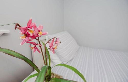 Willa , Cosy house in Inverness - Foto 76