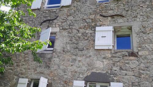 Gîte NOCTUA chez Gîtes QUE CANTA - Foto 5